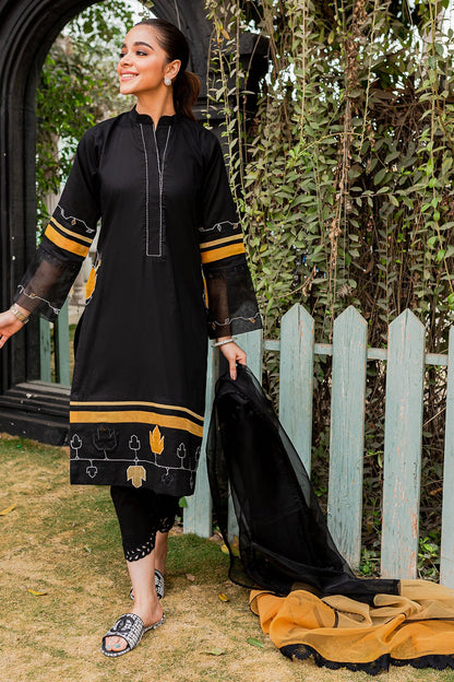 Amyra | Zoya & Fatima