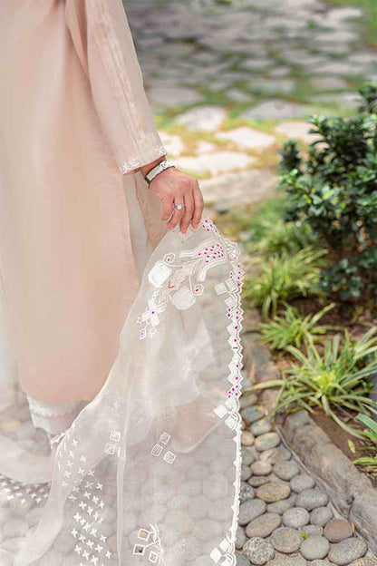 ILYANA – DUPATTA